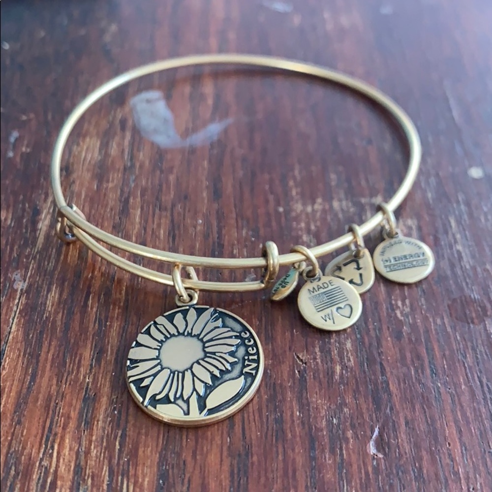 Alex and Ani niece bracelet